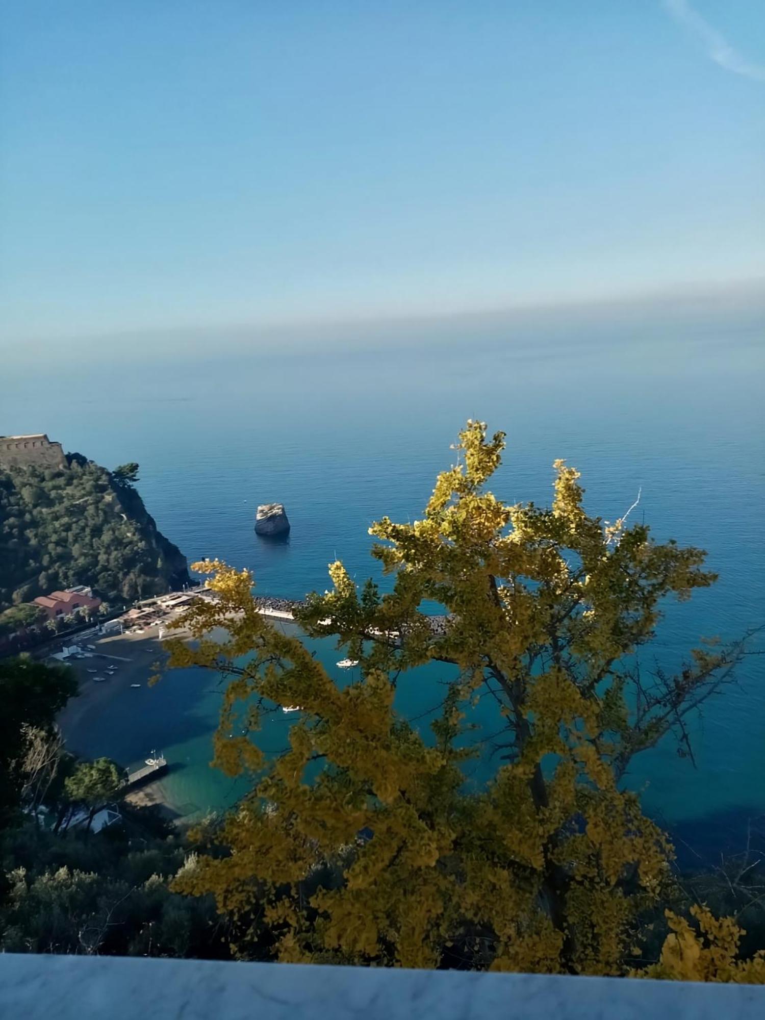 Apartment Casalulu - Lovely Sorrento Coast *